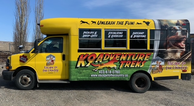 Pup bus side view
