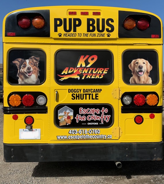 Image of Pup Bus