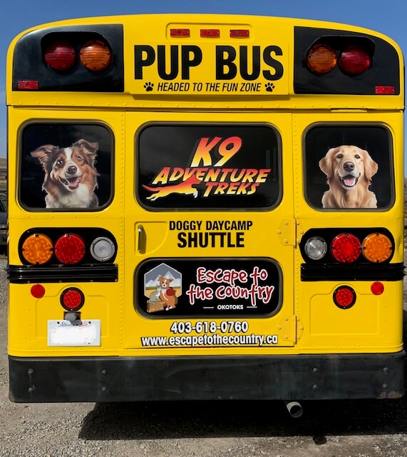 Image of Pup Bus