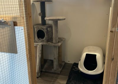 Open concept cat kennel with a cat tree