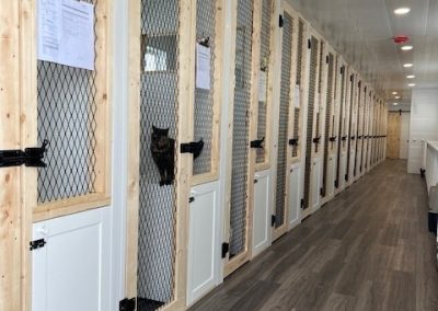 A line up of several can boarding kennels.
