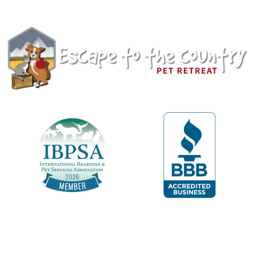 Escape To the Country -Logo